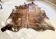 Texas cowhide rug, 1970