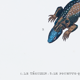 Lithography engraving vintage fantastic animals - Buffon 1835