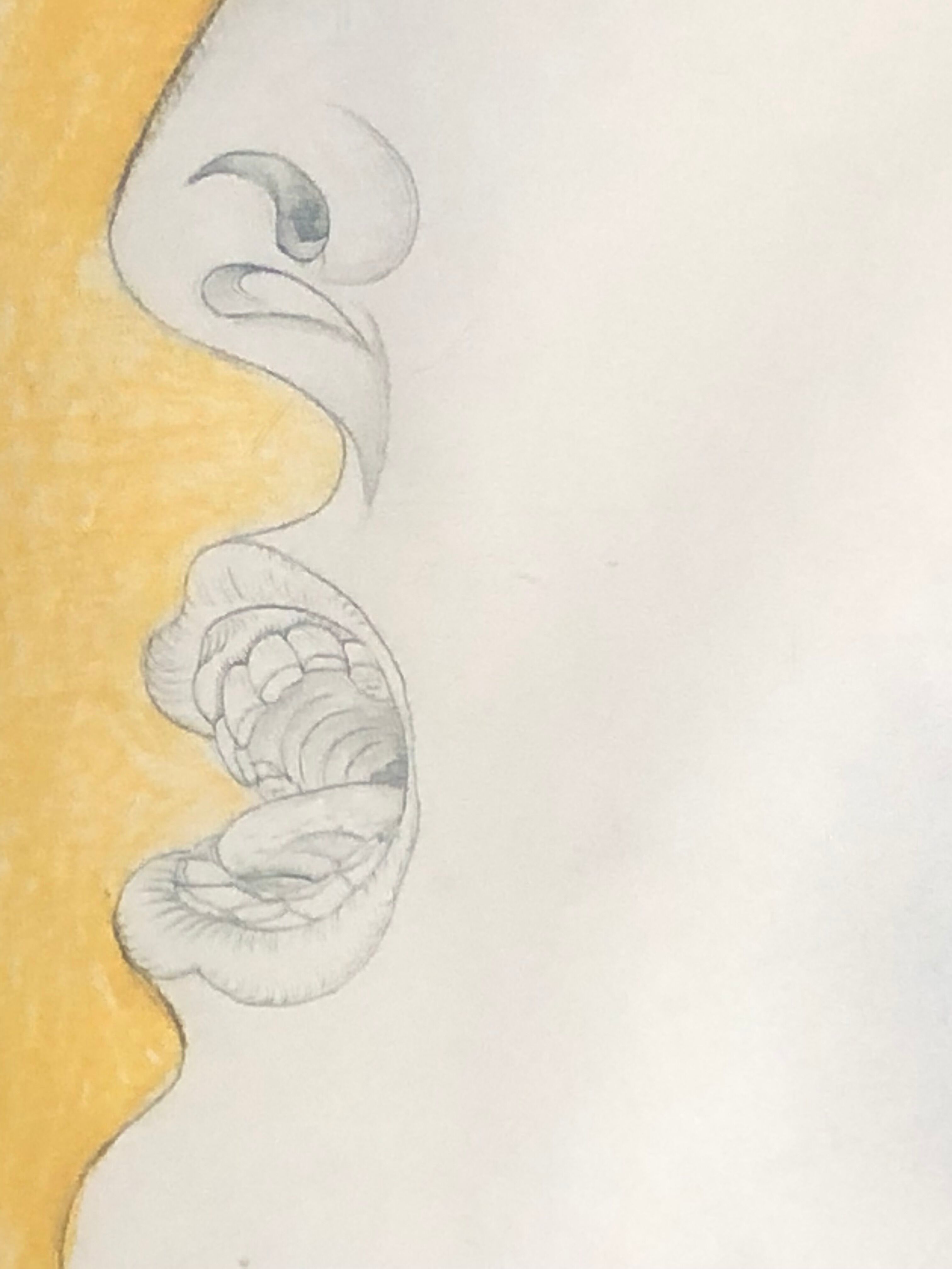 Picasso, reproduction "woman's head" preparatory drawing Guernica