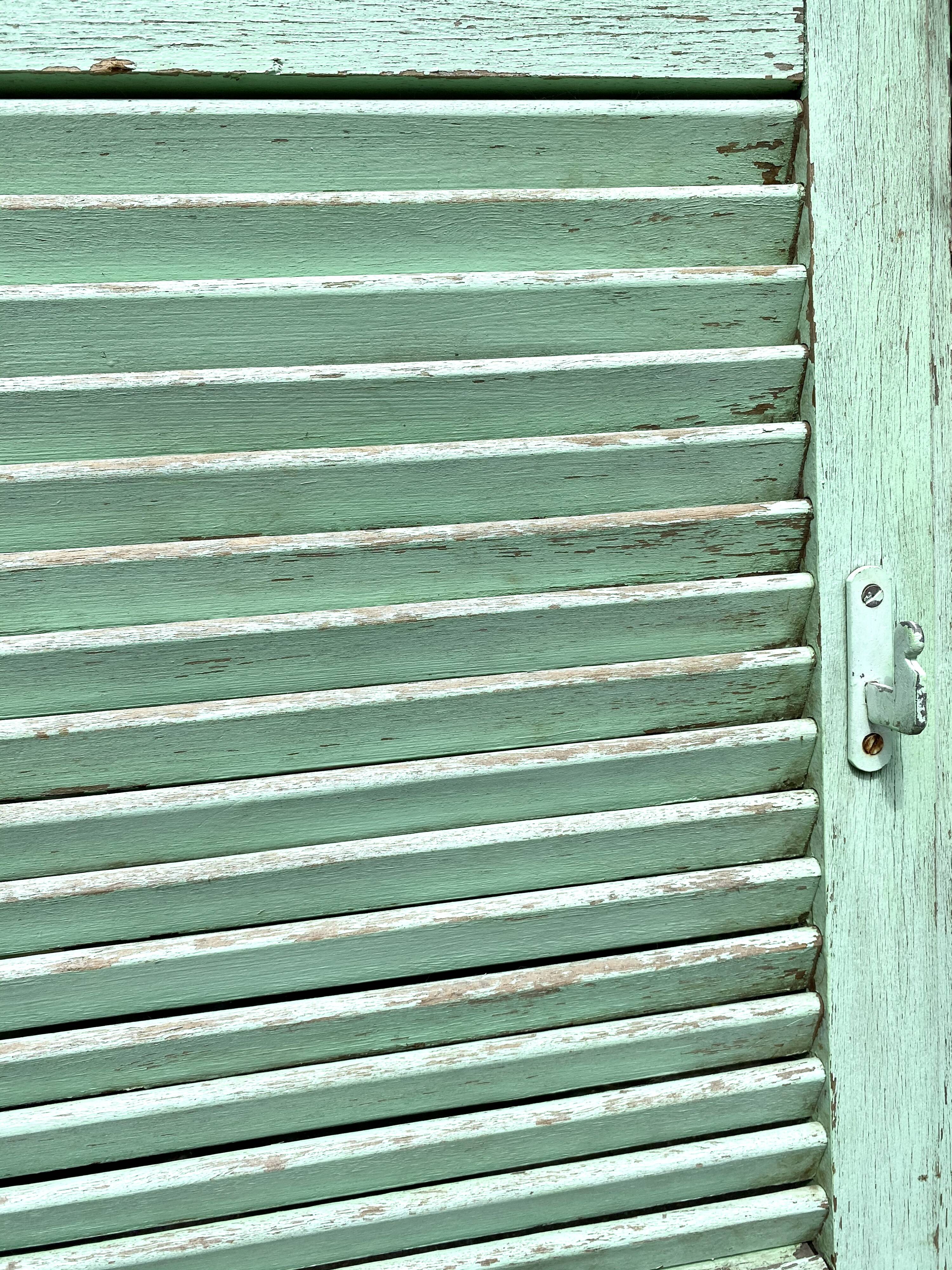 Ancient persian-coloured wood-wood mint