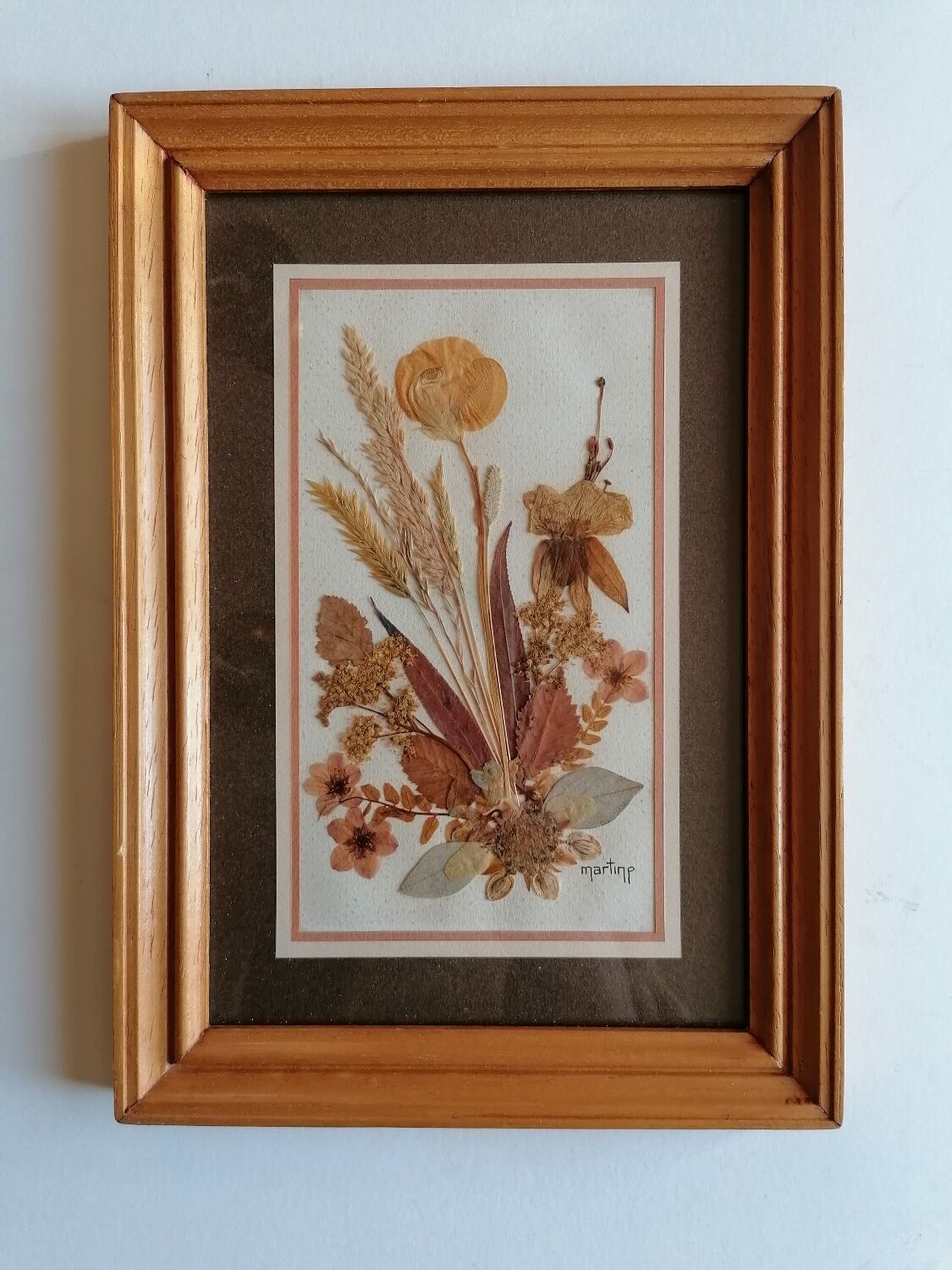 Authentic herbarium signed