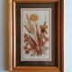 Herbier authentique signé