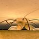 Mid-century minimalist fiberglass ceiling light, 1960s