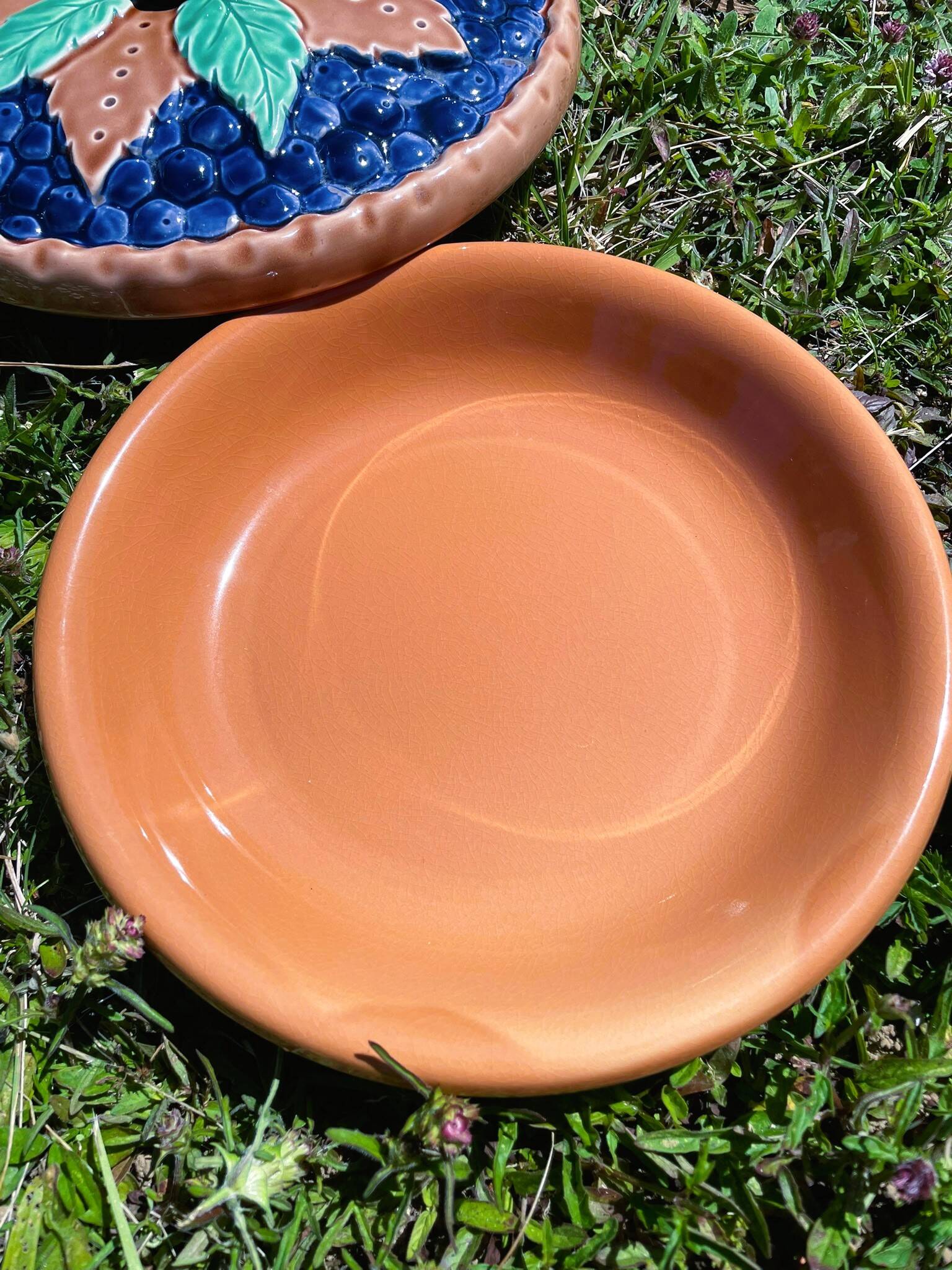 Illusion pie dish blueberry pie