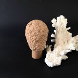 Mini Sculpted Head Baked Head