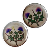Assiettes chardons Daniel Etienne