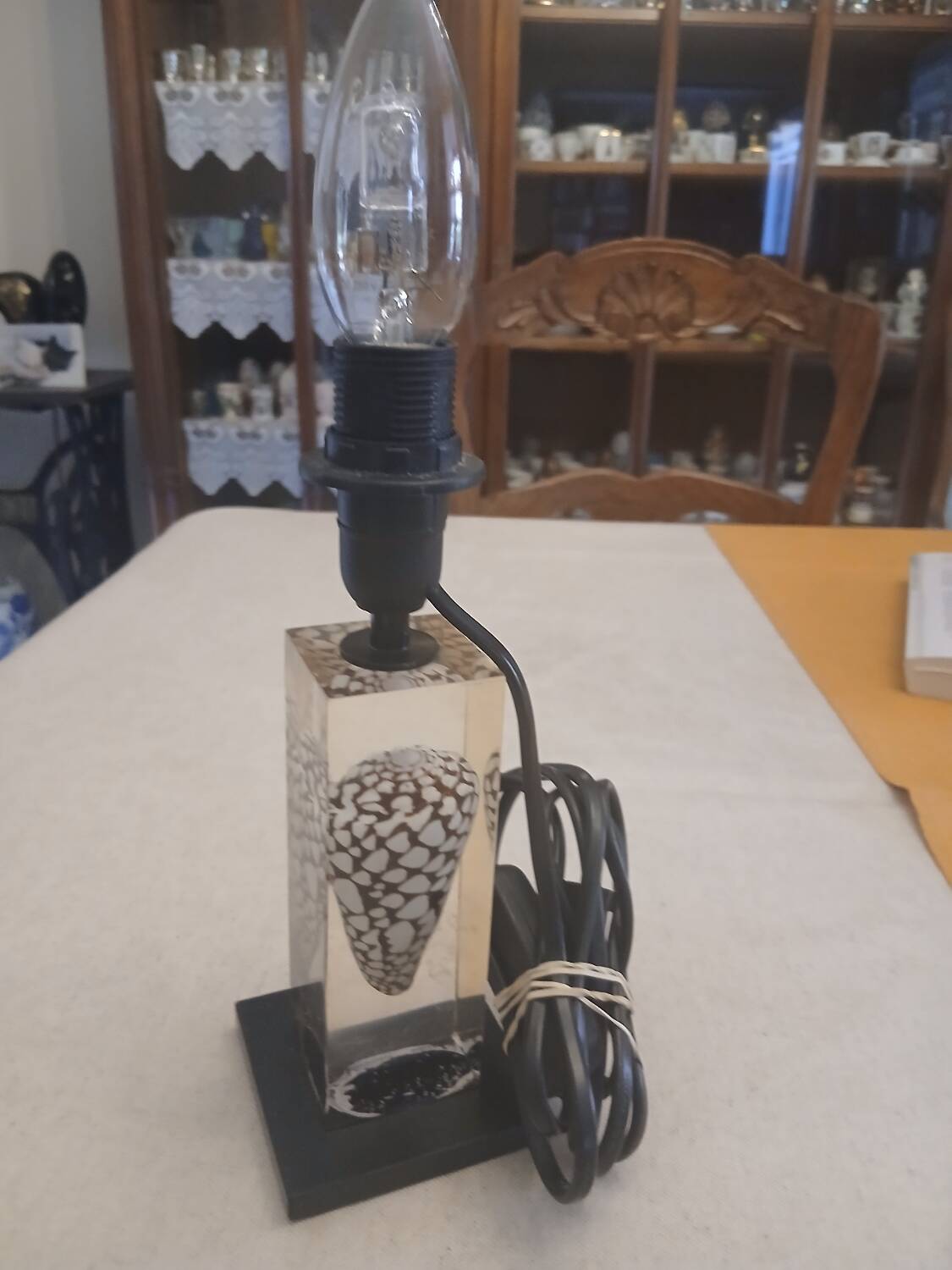 Shell inclusion lamp