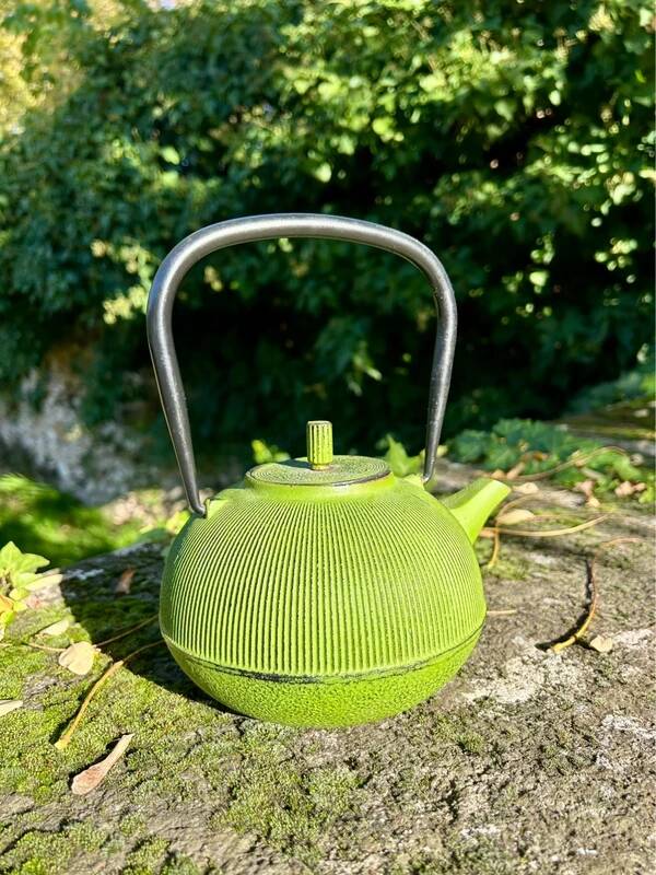Green cast iron teapot