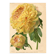Botanical Engraving 1911 - Yellow Peony by A. Millot - Flower, Lithograph