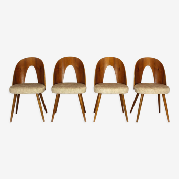 Set de 4 chaises par Antonin Suman, années 1960,