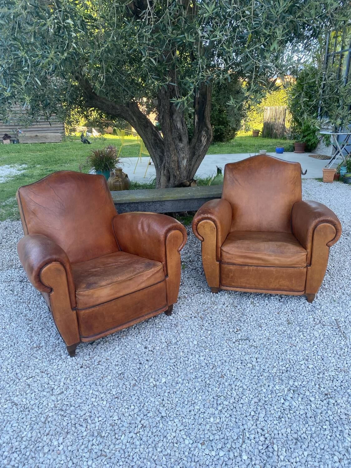 Pair of club armchairs