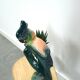 Porcelain statue cockatoo vintage