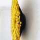 Juju hat jaune 80 cm