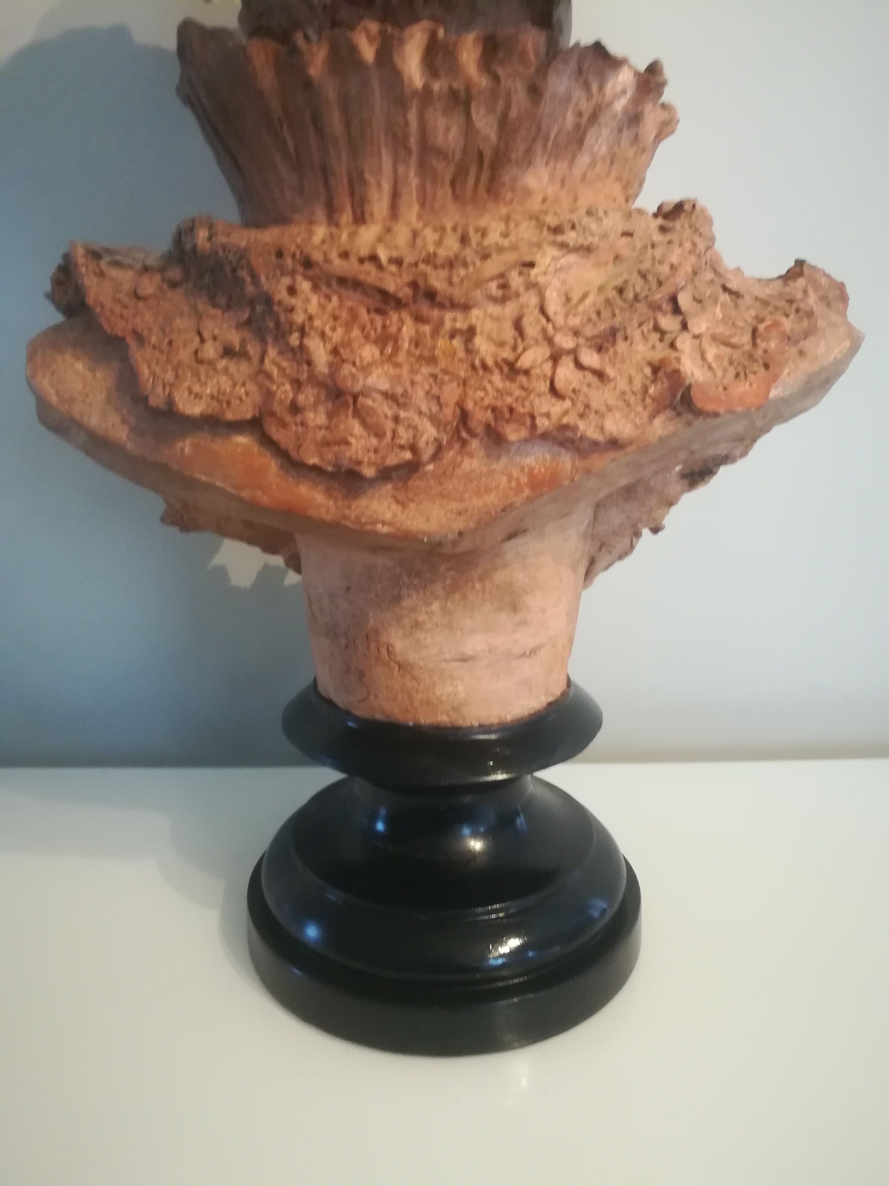 Bust signed D. Van Den Bossche in terracotta