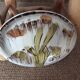 Vintage dish