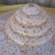 Large glass suspension basin clichy rose art deco