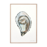 "Ada", the oyster, art print 21/29.7 cm