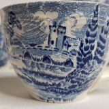 Tea set 6 cups and undercups Earthen Gien Wedgwood earthenware