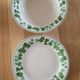 5 dessert plates and their matching bowl (Luciano)