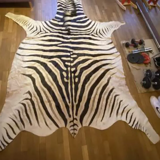 Real zebra skin