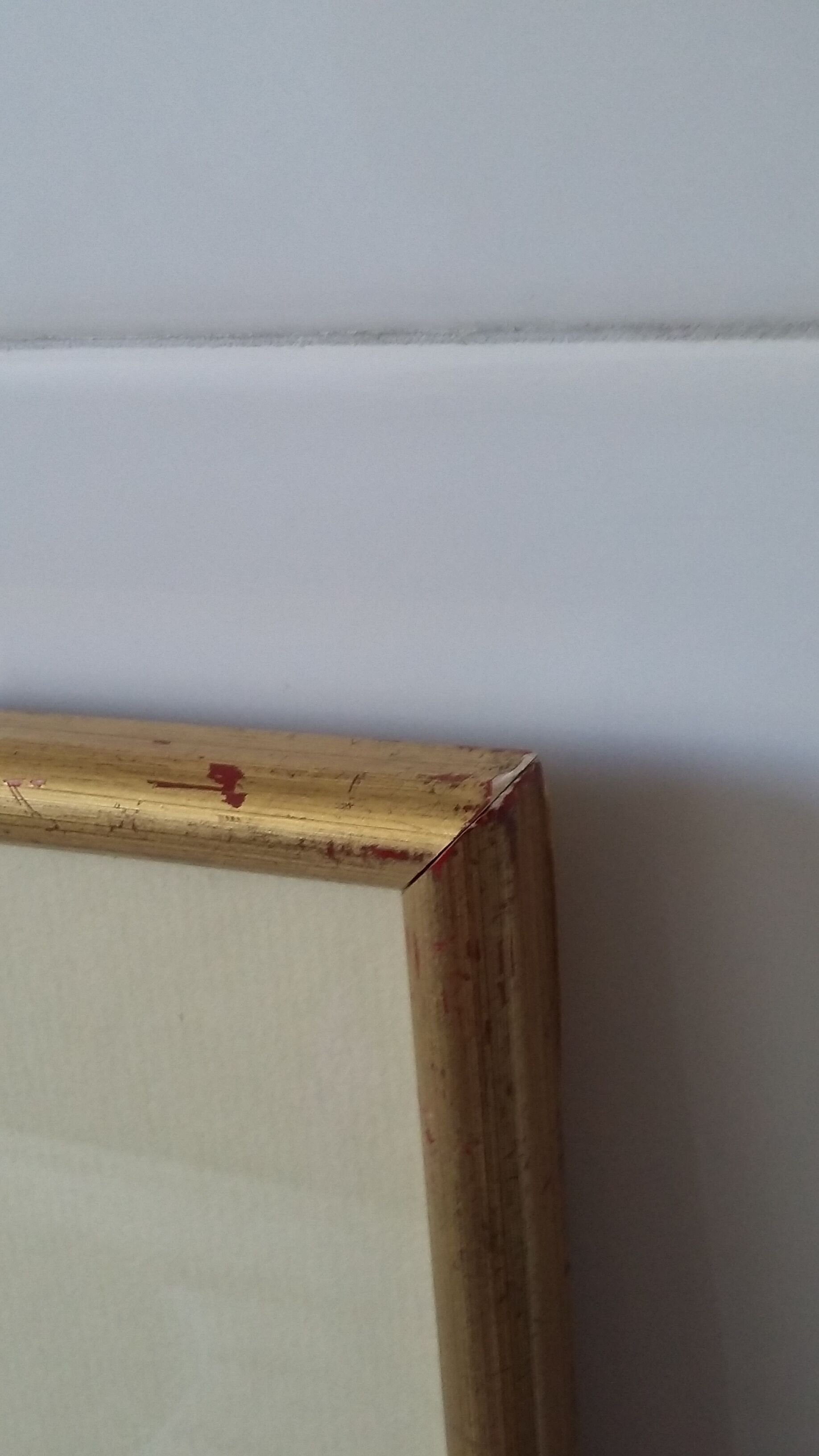 Golden framed hummingbirds