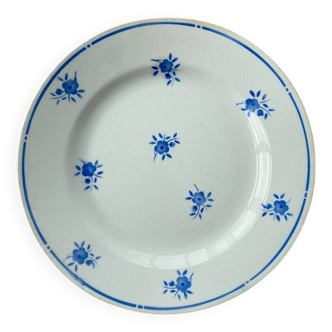 Moulin des Loups Plates - Richard Bleu x11