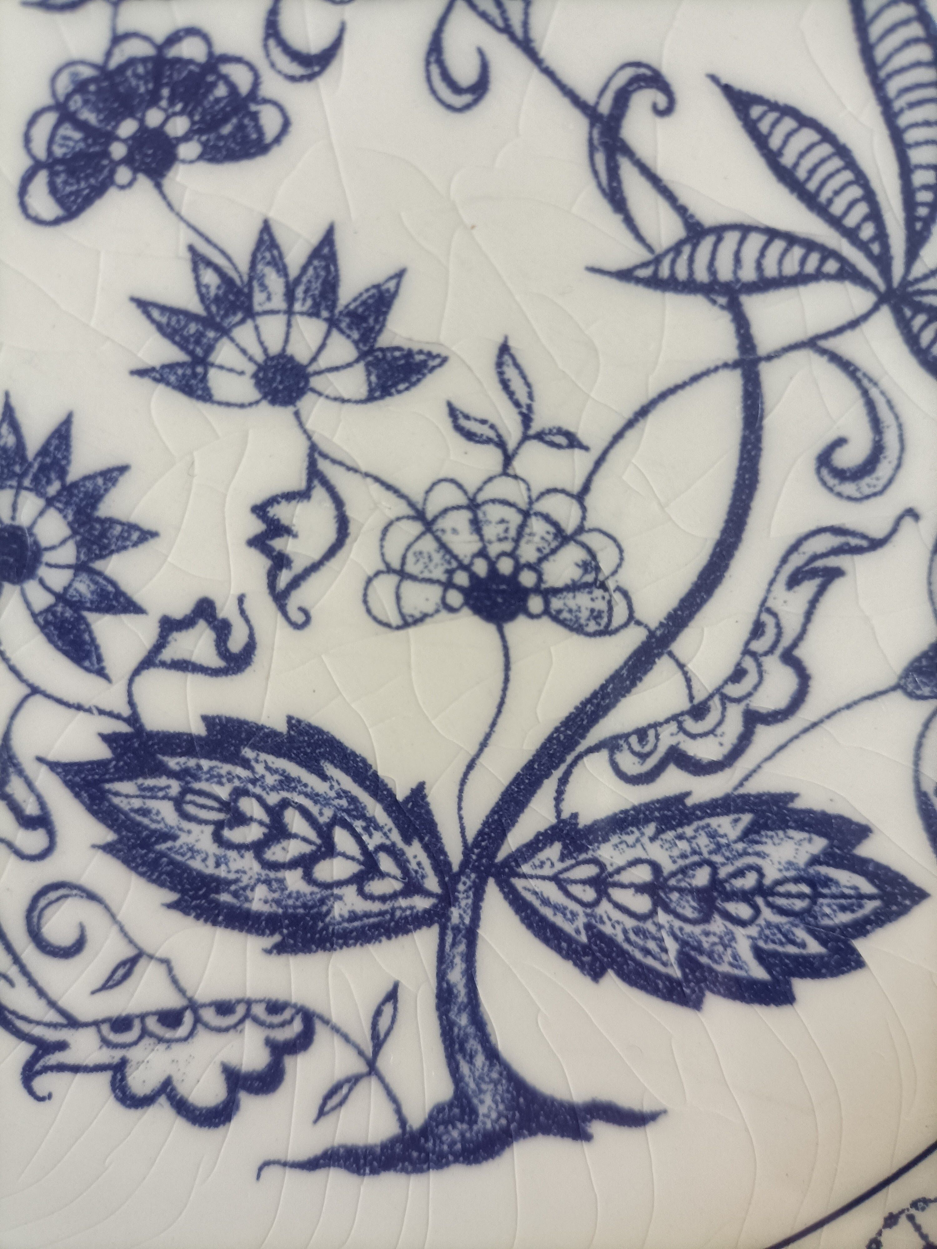 Blue porcelain onion plates