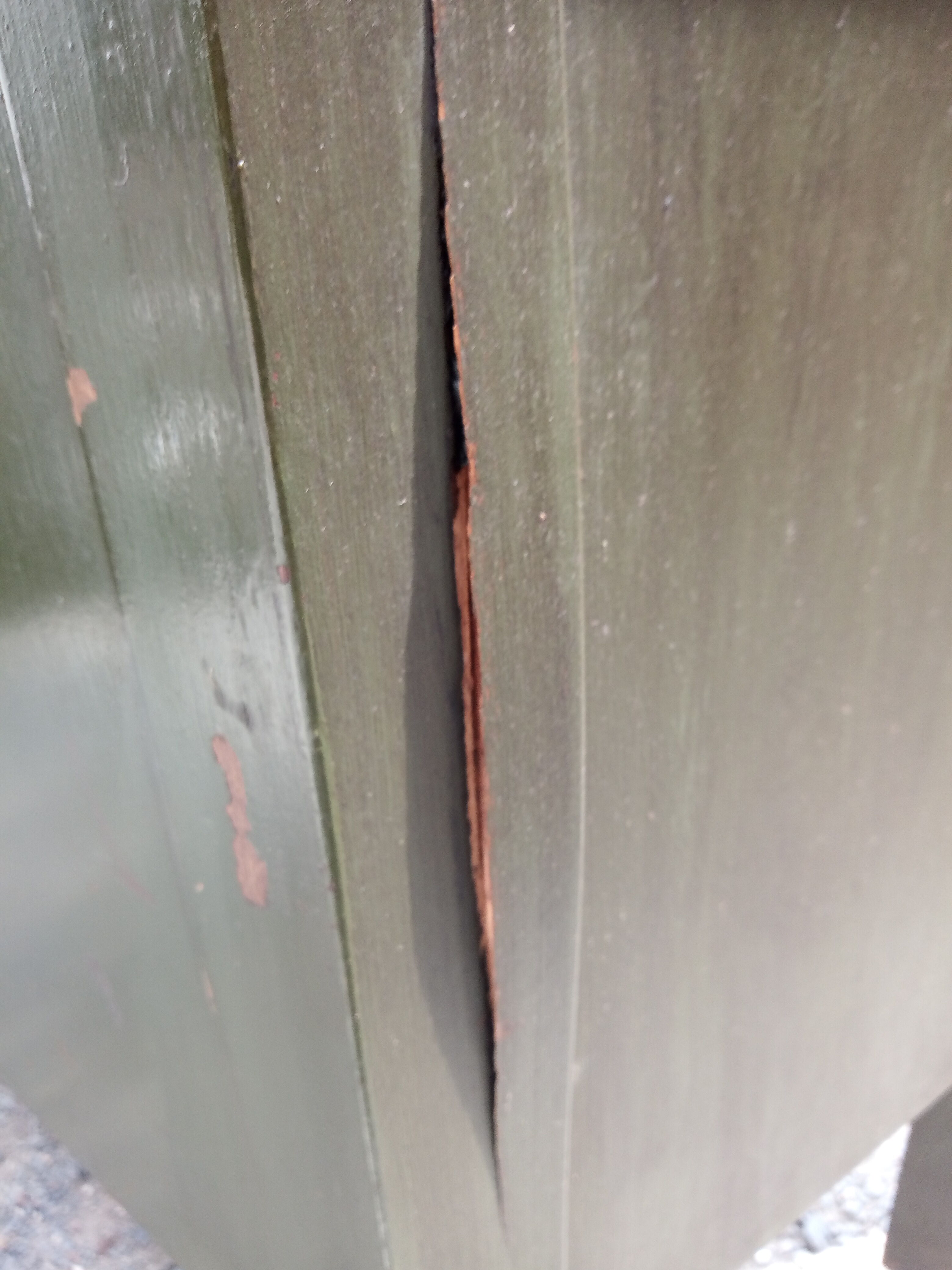 Vintage establishment