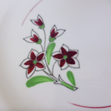 Set of 4 vintage porcelain dinner plates from the Salins factory