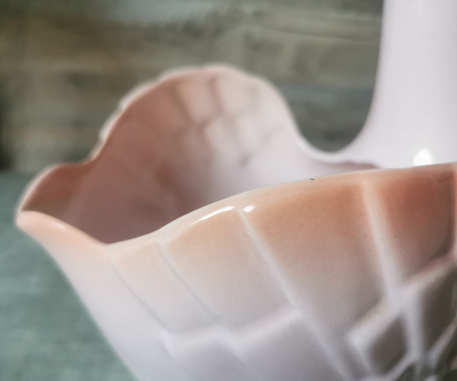 Swan Rigon Roberto Italy