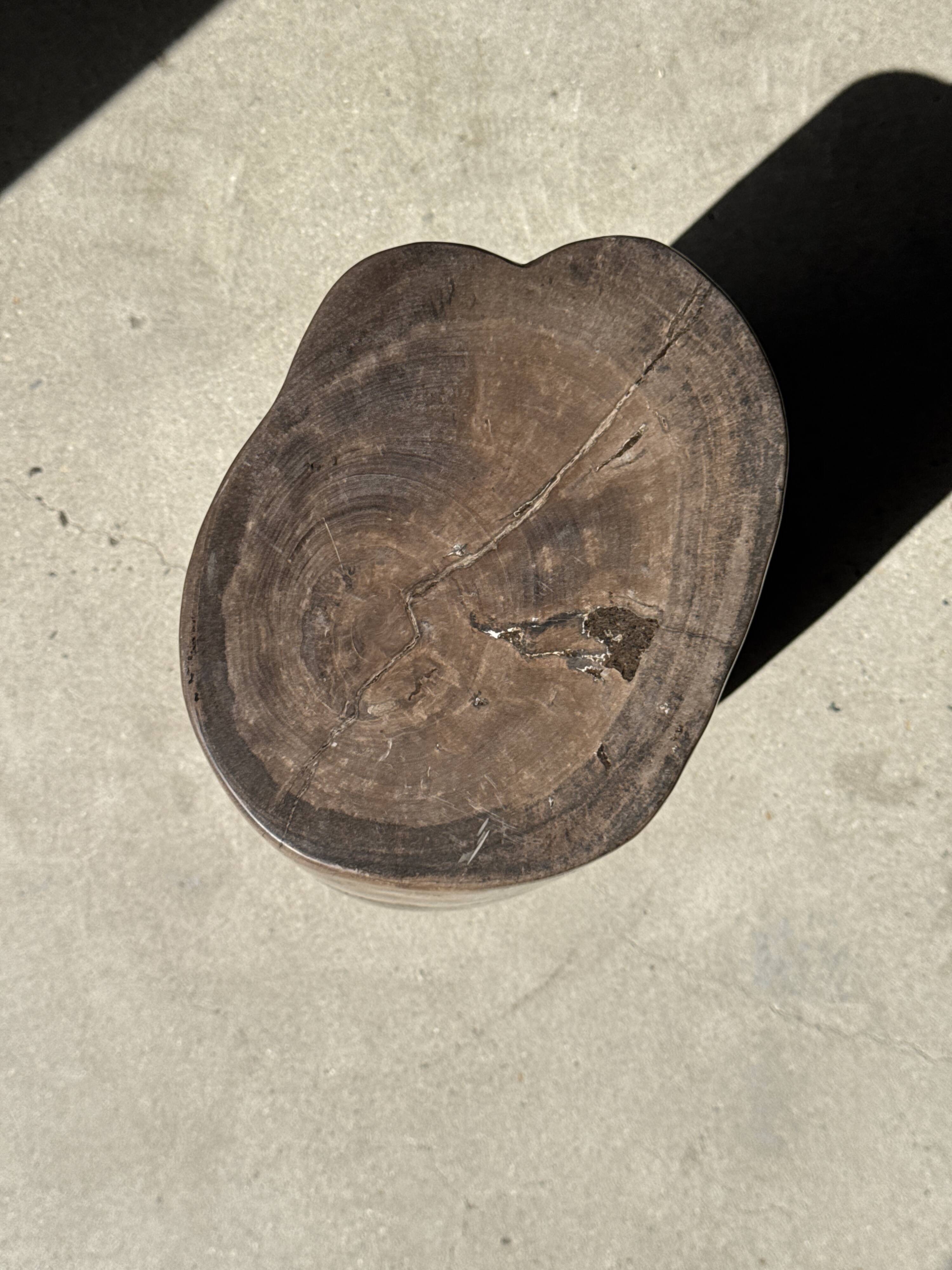 Table d'appoint en bois pétrifié brune H46 D29 - 3338