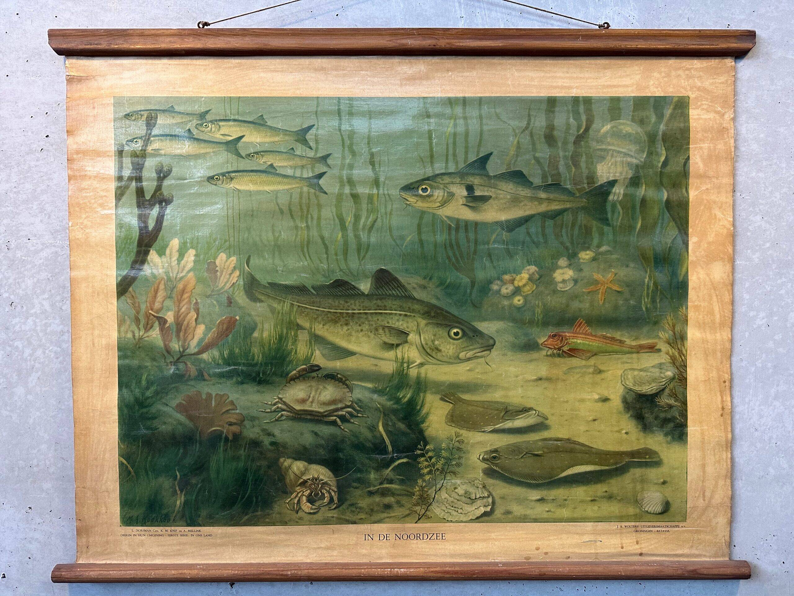 Vintage linen school chart – In the North Sea