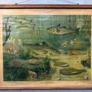 Vintage linen school chart – In the North Sea