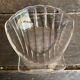 Series 11 PYREX Shell-Shaped Scallop Dishes Moulded Glass France
