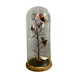 Bird globe with 3 different rare species perched on a tree