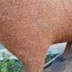 Antique rocking horse