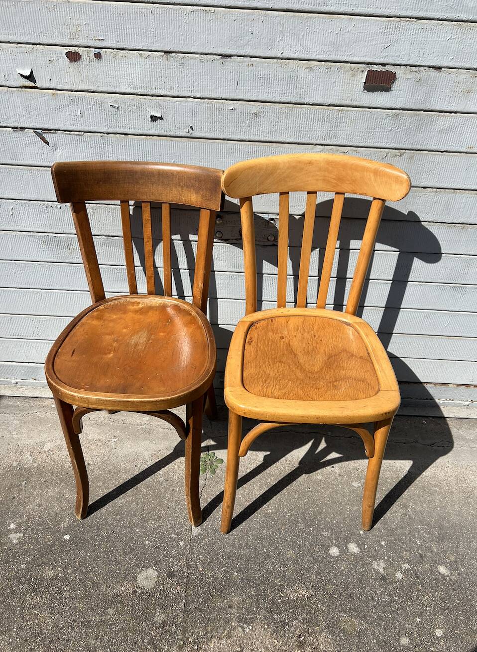 (Lot) 14 honey-coloured bistro chairs (Baumann)