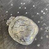 5 vintage transparent molded glass pineapple cups