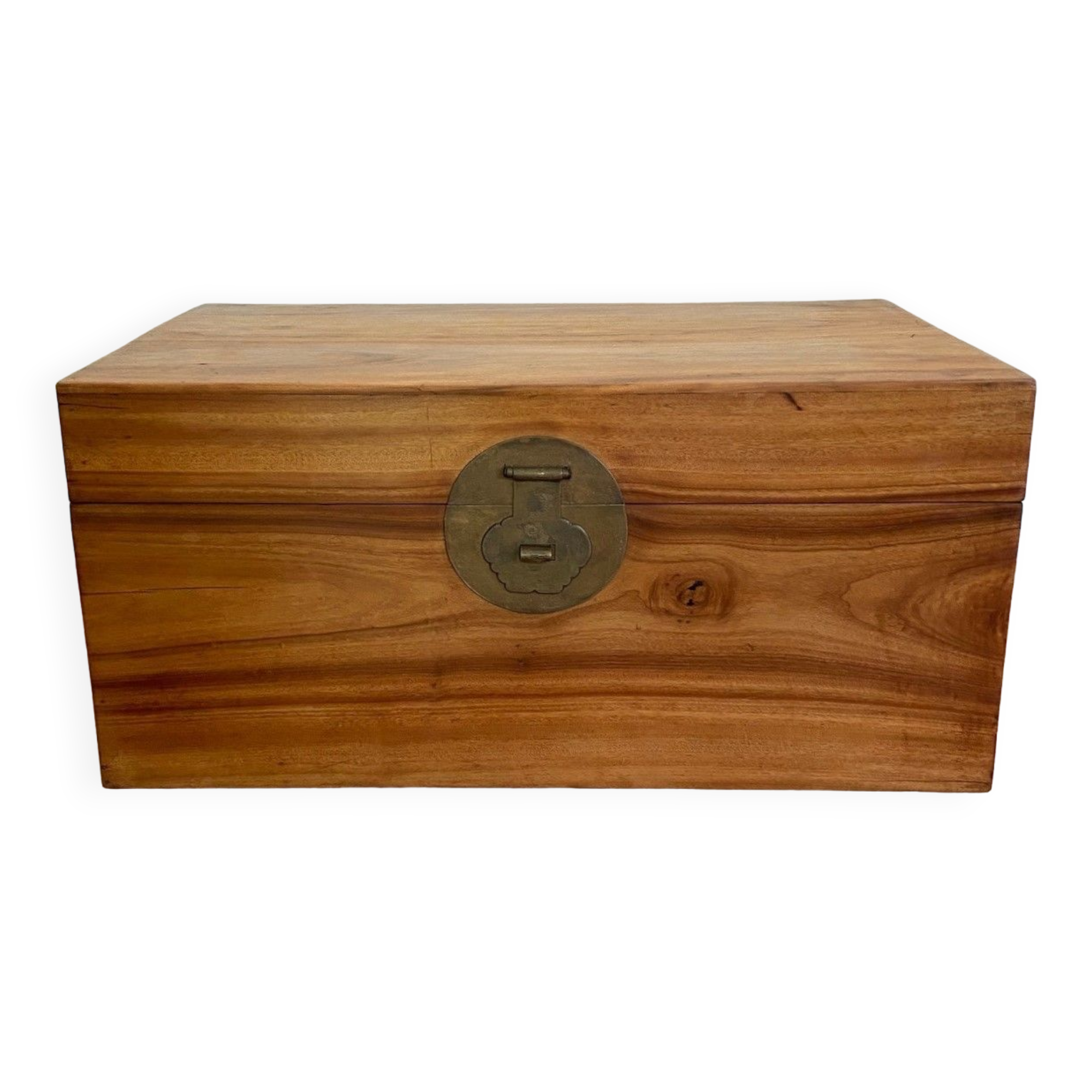 Chinese chest in camphor tree