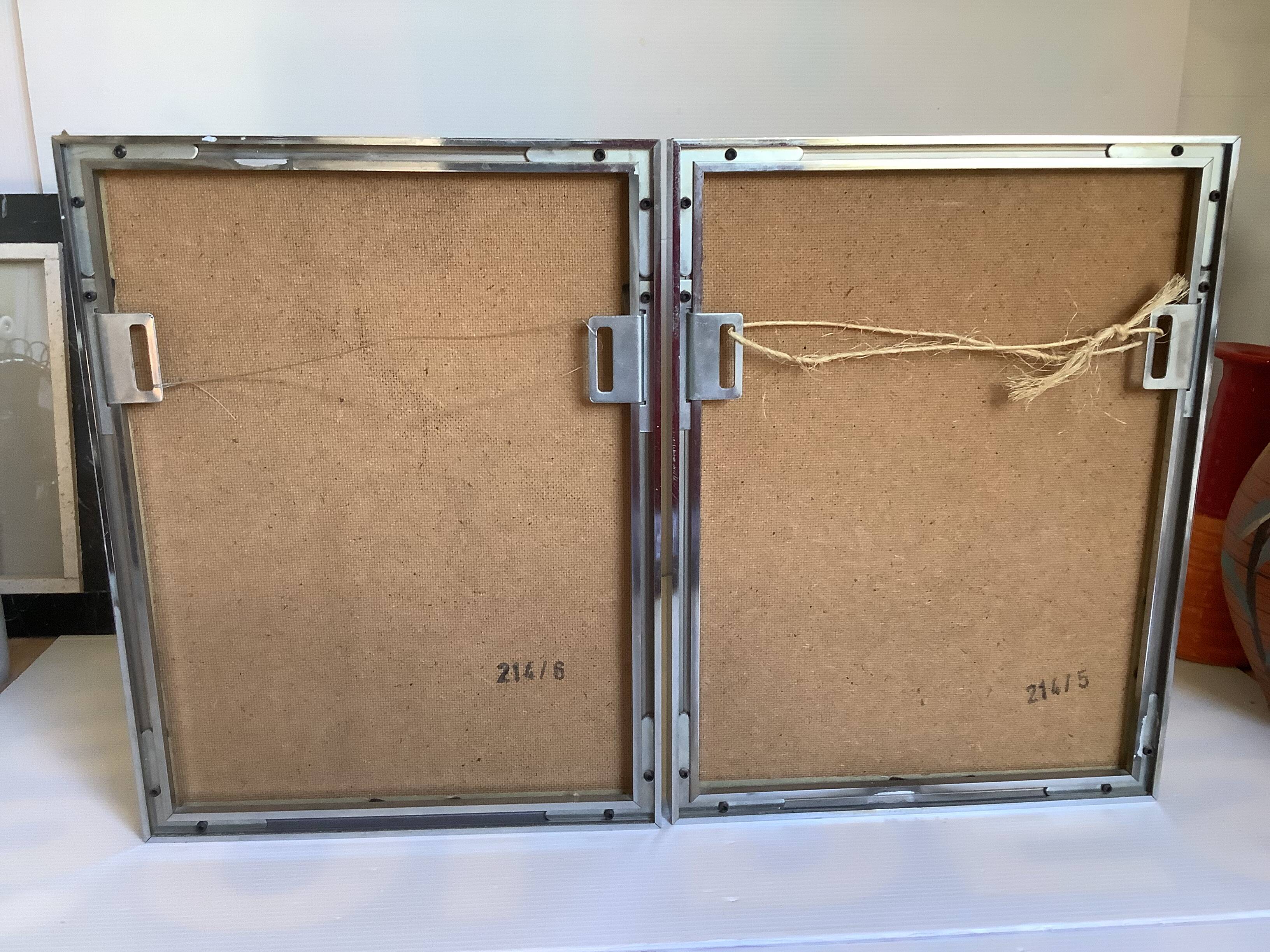 Pair of framed bird illustrations