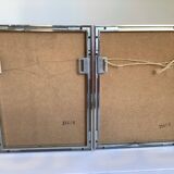 Pair of framed bird illustrations