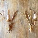 Pair of Italian sconces ear of wheat