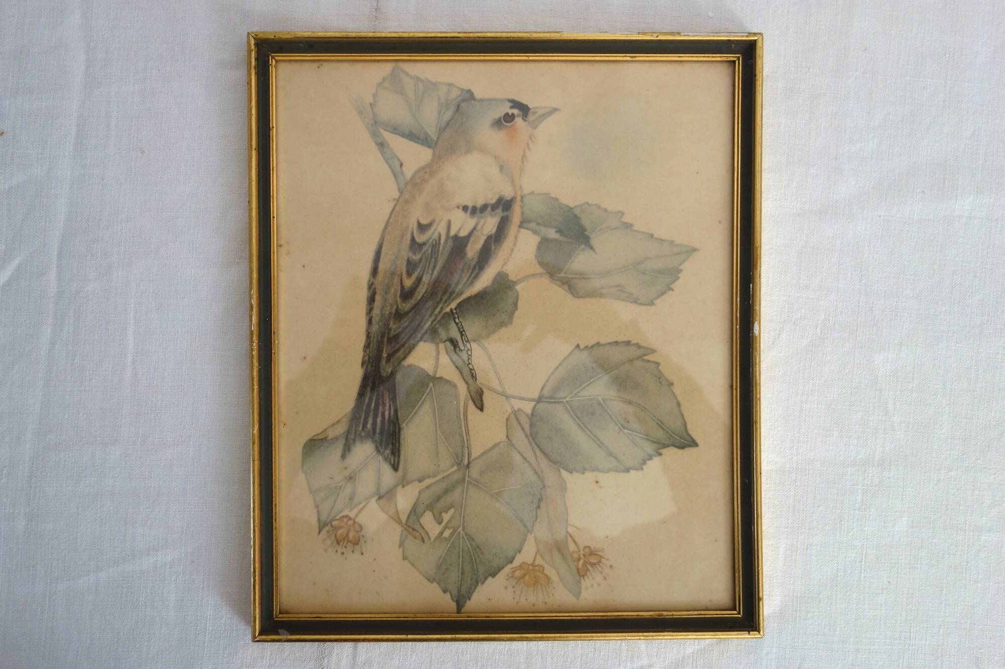 3 framed bird lithographs