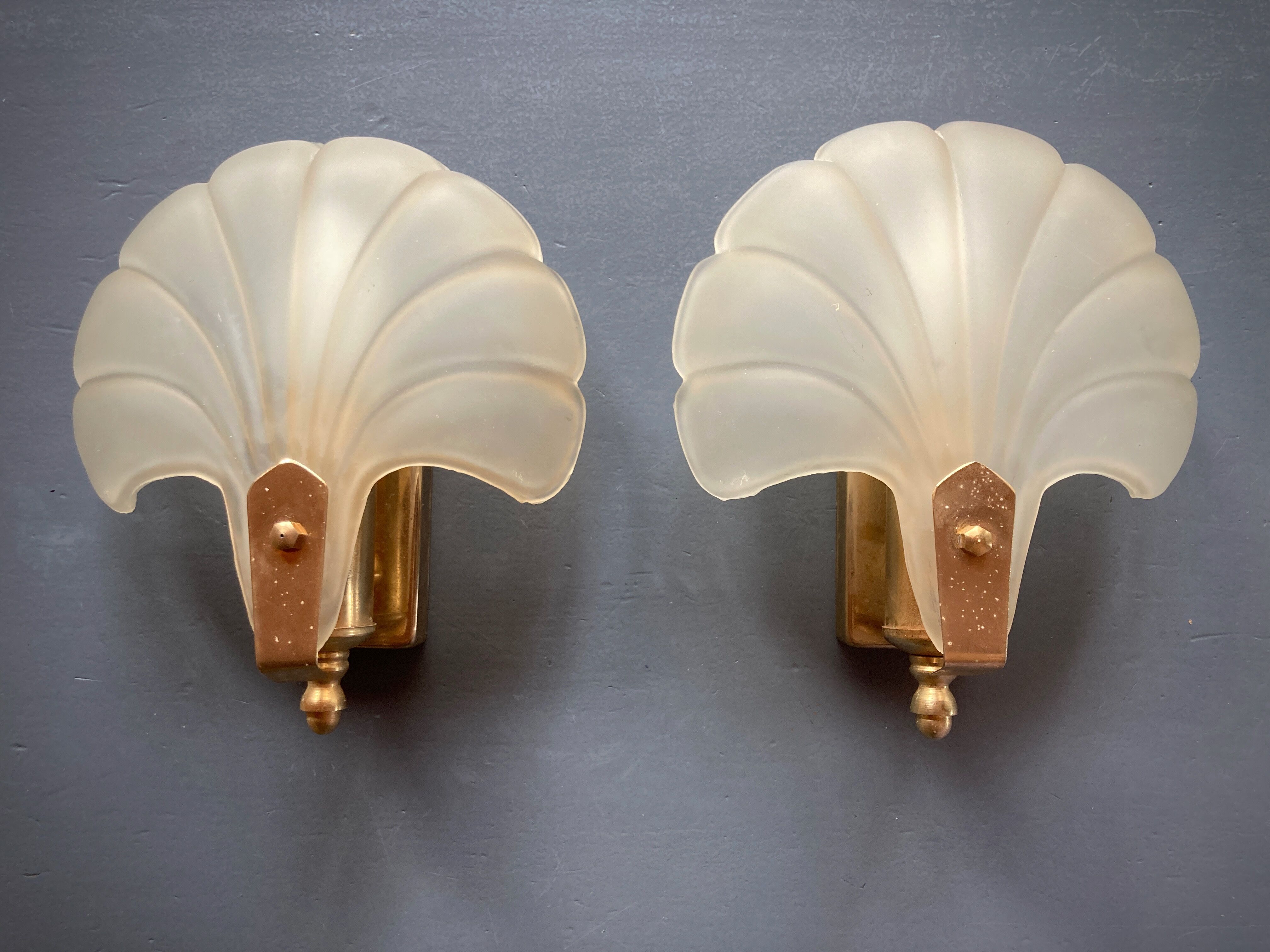 Frosted glass shell wall lamps