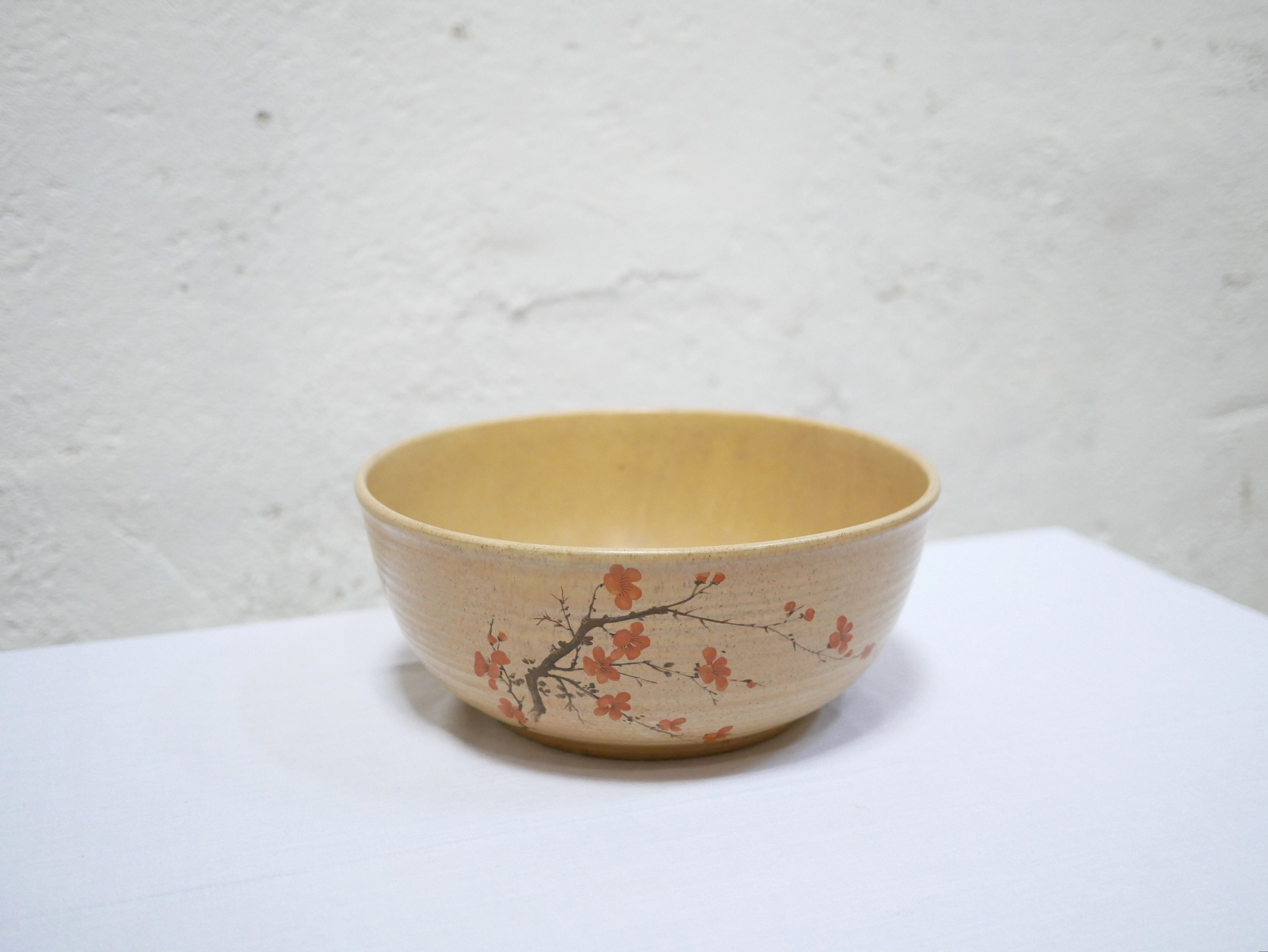 Vintage porcelain salad bowl by Maison Revol, France