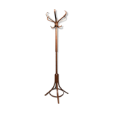 Baumann house parrot coat door