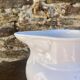 Antique earthenware jugs from 1900