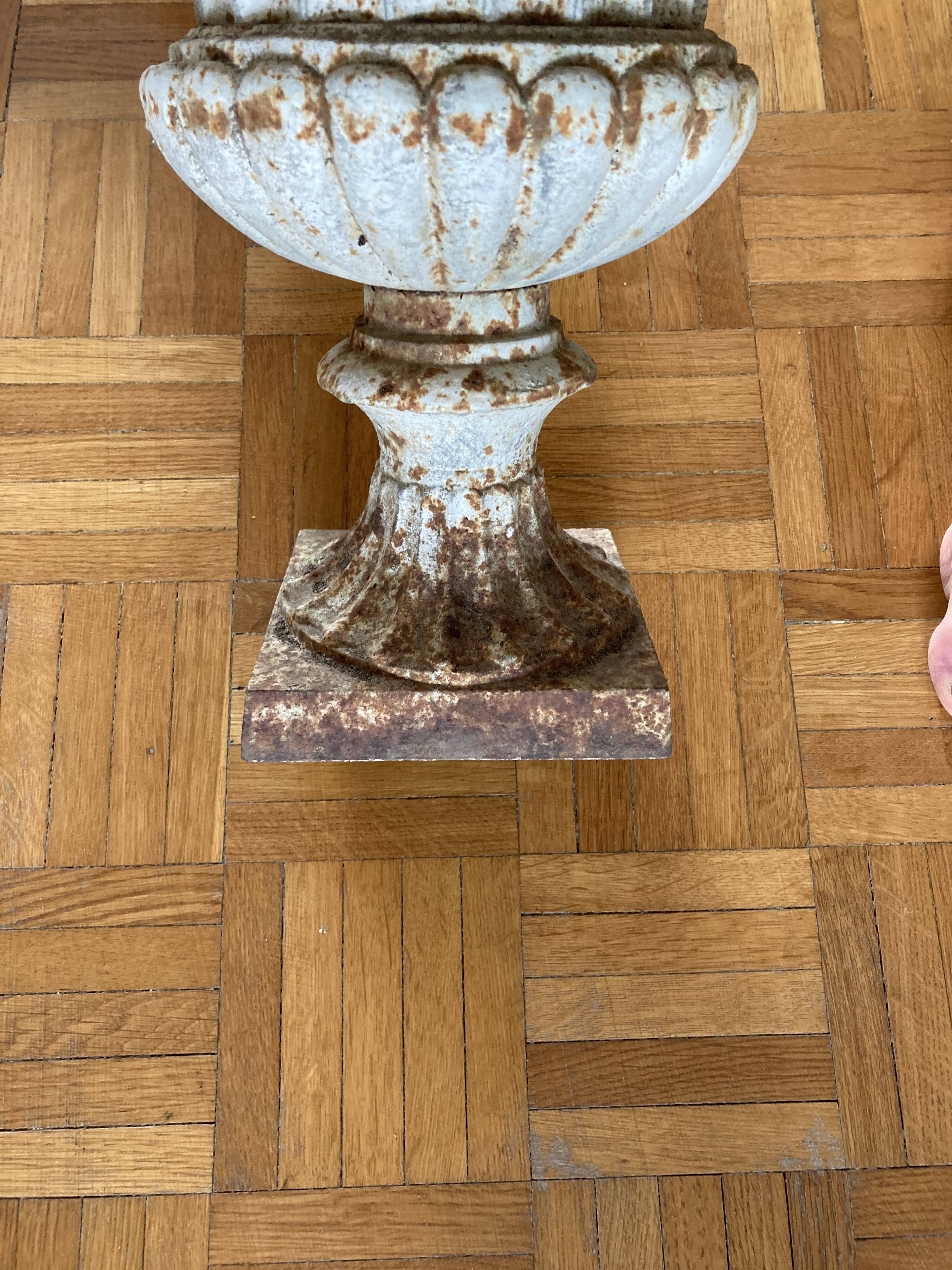 Cast iron Medici vase.