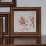True alguier in walnut frame France 1960