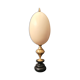 Oeuf de nandou cabinet de curiosité
